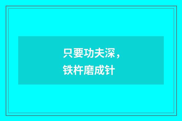 只要功夫深，铁杵磨成针