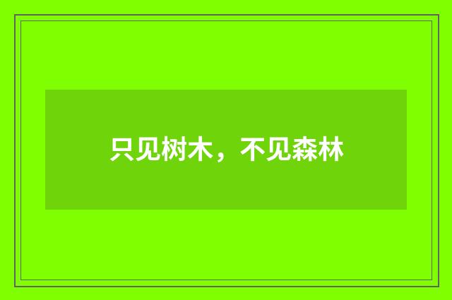 只见树木，不见森林