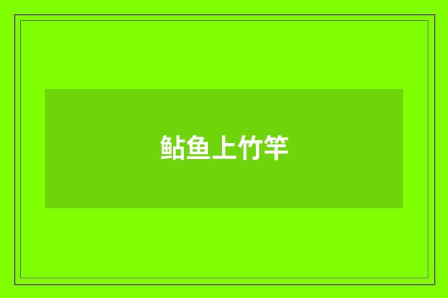 鲇鱼上竹竿