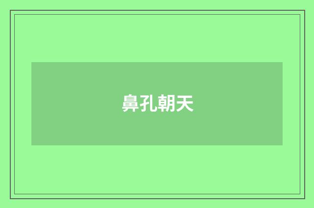 鼻孔朝天