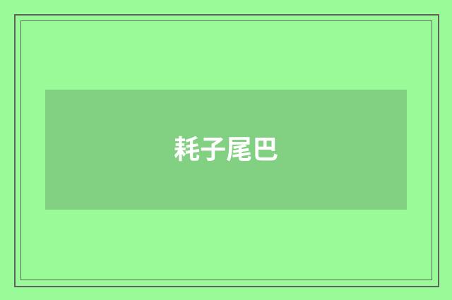 耗子尾巴