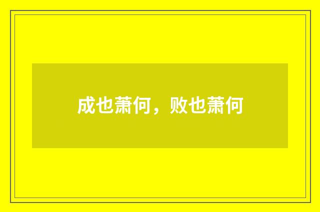 成也萧何,败也萧何