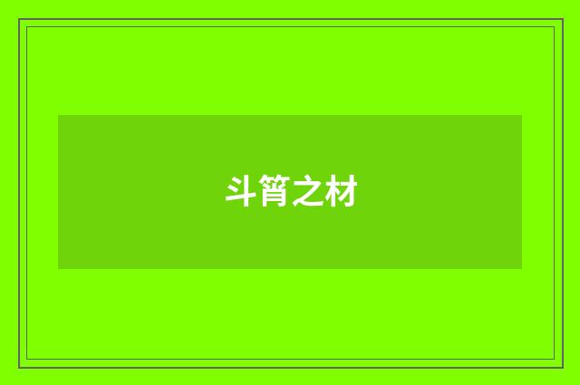 斗筲之材