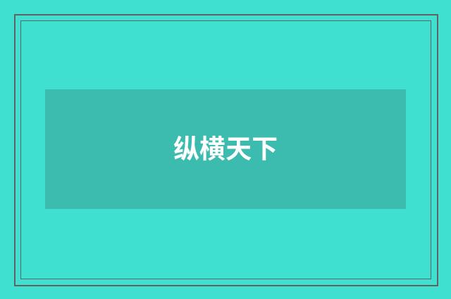 纵横天下