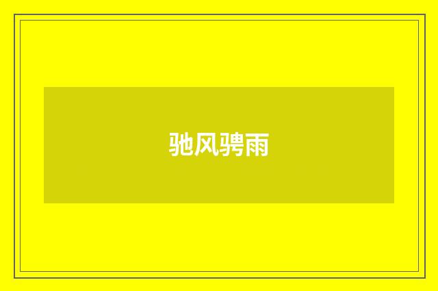 驰风骋雨