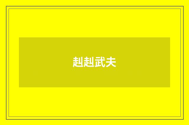 赳赳武夫