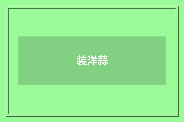 装洋蒜