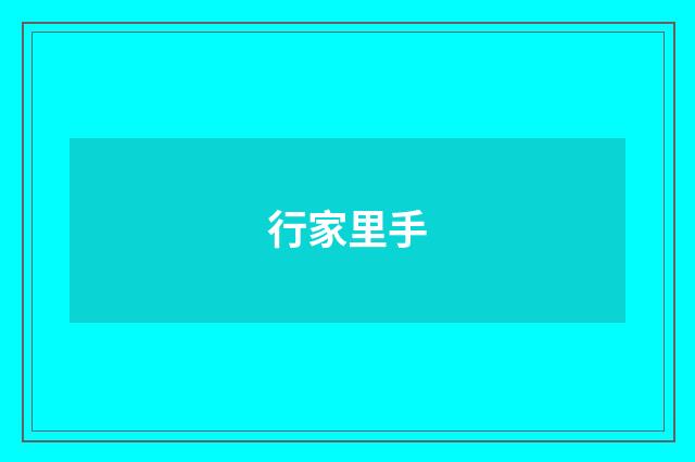 行家里手