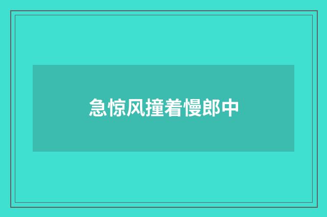急惊风撞着慢郎中