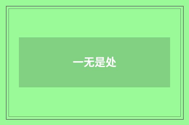 一无是处