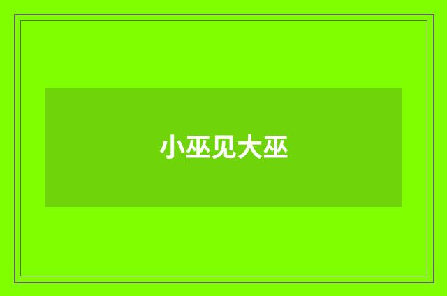 小巫见大巫