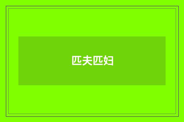 匹夫匹妇