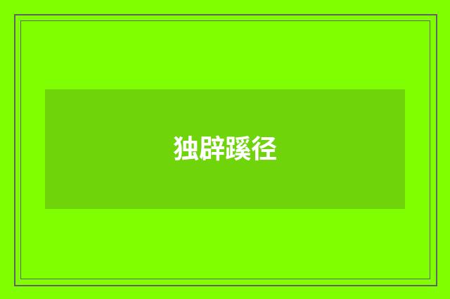 独辟蹊径