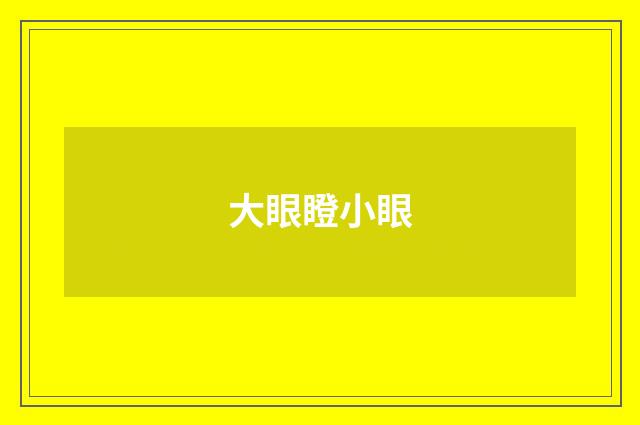 大眼瞪小眼