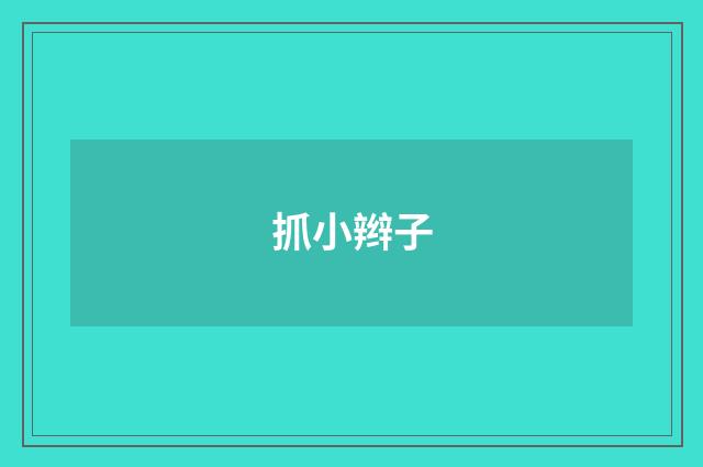 抓小辫子