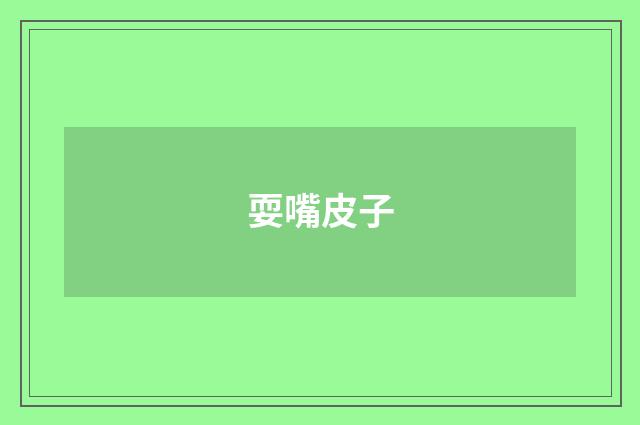 耍嘴皮子