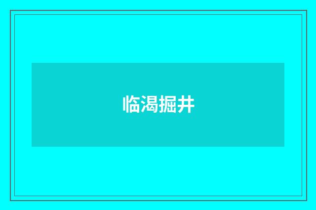临渴掘井