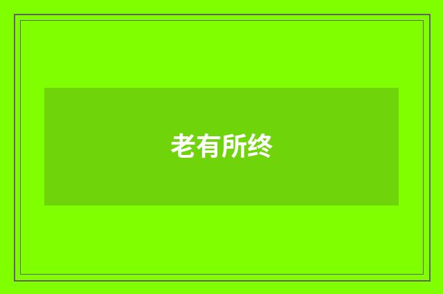 老有所终