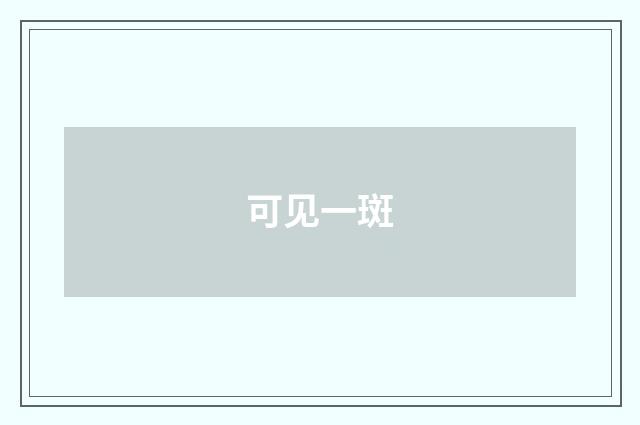 可见一斑