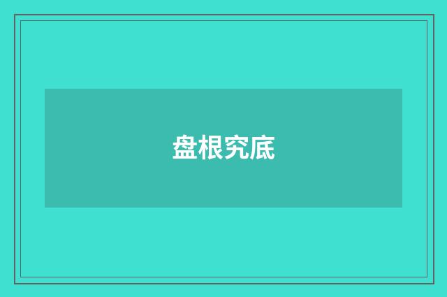 盘根究底