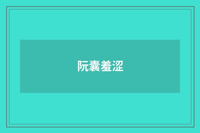 阮囊羞涩