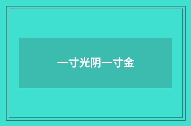 一寸光阴一寸金