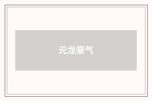元龙豪气