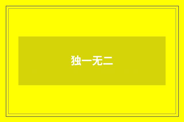 独一无二