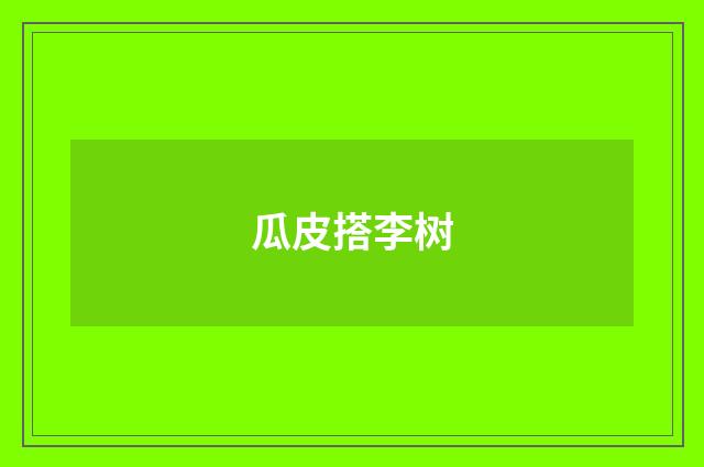 瓜皮搭李树