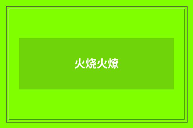 火烧火燎