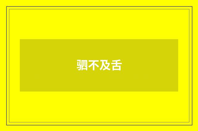 驷不及舌