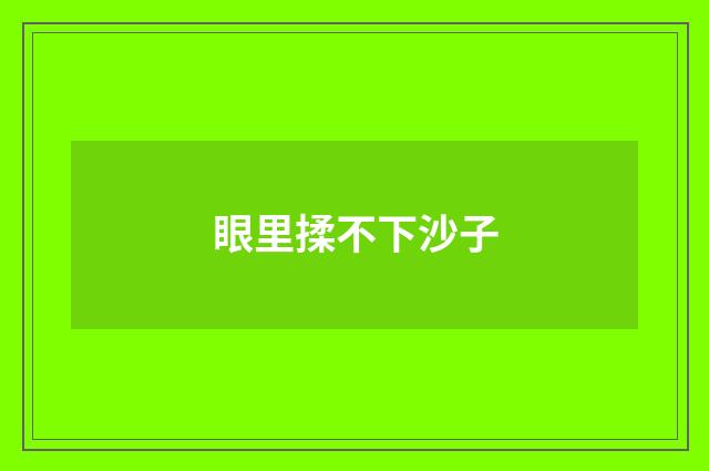 眼里揉不下沙子