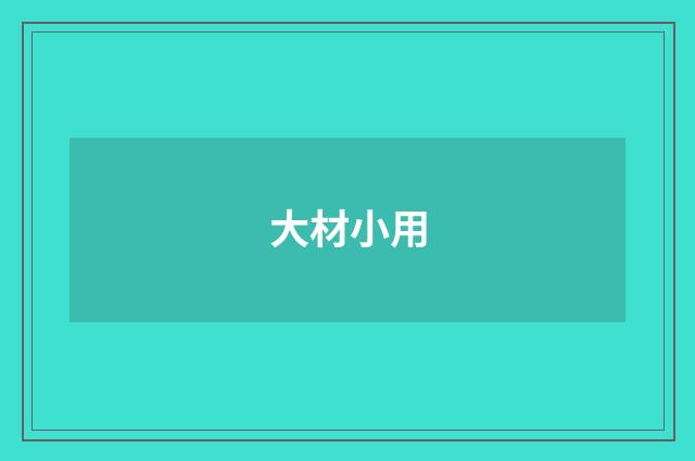 大材小用