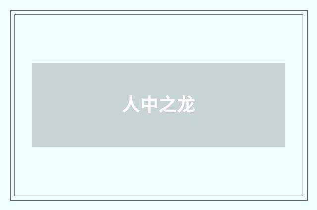 人中之龙