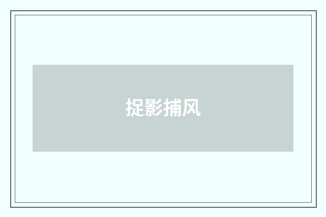 捉影捕风