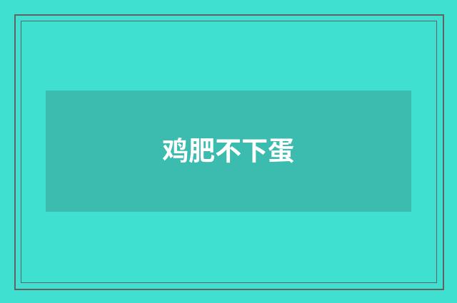 鸡肥不下蛋