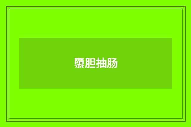 隳胆抽肠