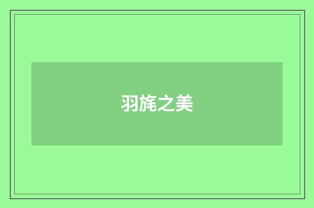 羽旄之美