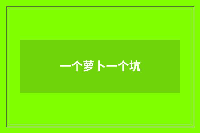 一个萝卜一个坑