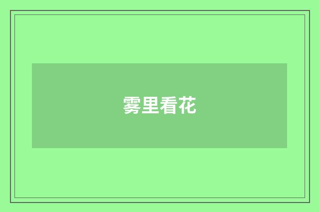 雾里看花