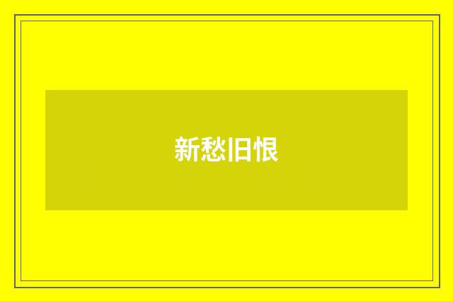 新愁旧恨
