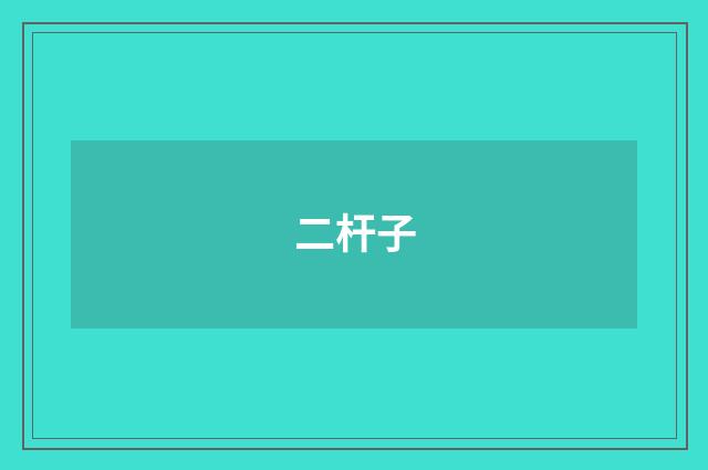 二杆子