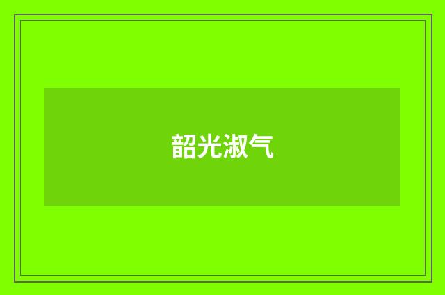 韶光淑气