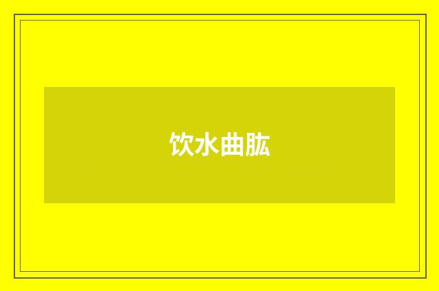 饮水曲肱