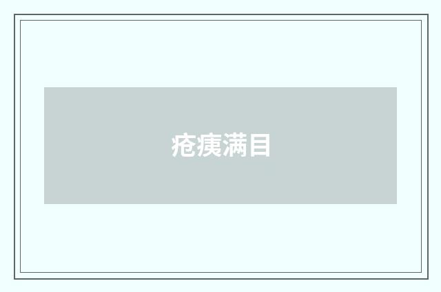 疮痍满目