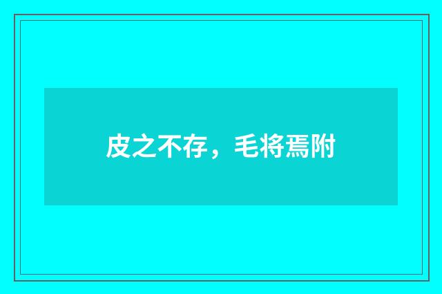 皮之不存，毛将焉附