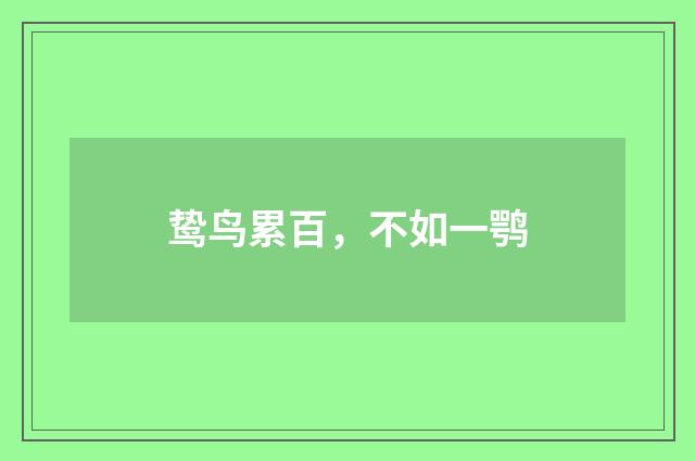 鸷鸟累百，不如一鹗