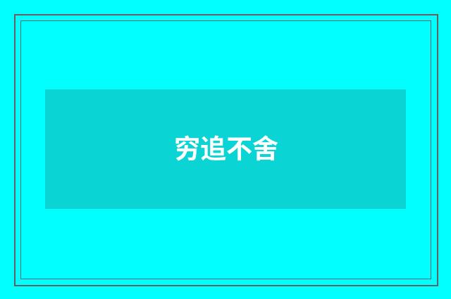 穷追不舍
