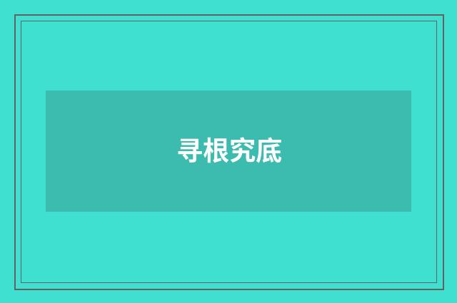 寻根究底