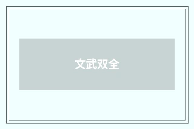 文武双全